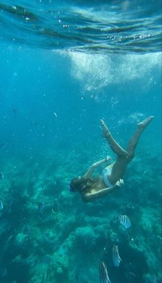 a woman swimming in the ocean with fish around her