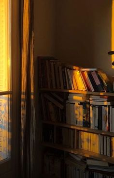 the sun shines brightly through an open window onto a bookshelf full of books