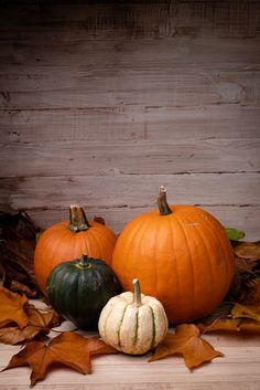 three pumpkins sitting on top of leaves next to each other