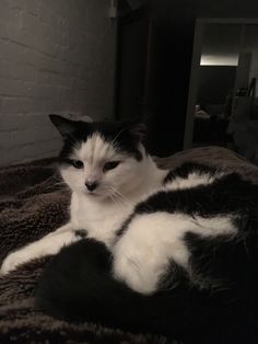 a black and white cat laying on top of a bed next to a brick wall