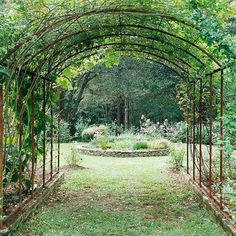 an outdoor garden with lots of plants and trees