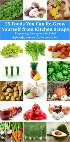 an image of vegetables and fruits with the title 25 foods you can grow yourself from kitchen scraps