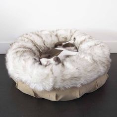 a cat curled up on top of a round pet bed with fur around the edges