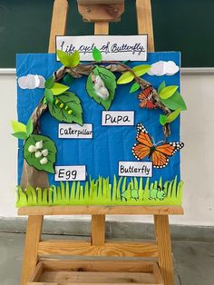 an easel with paper cut out of the parts of a plant and butterflies on it