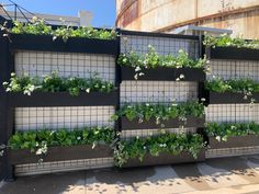 an outdoor planter with many plants growing on the side of it's wall