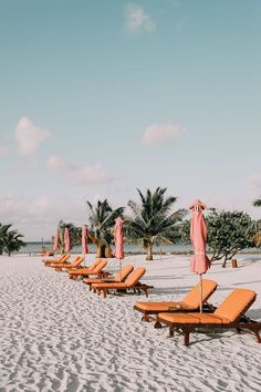 lounge chairs and umbrellas are lined up on the beach