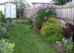 a garden with purple flowers and green grass