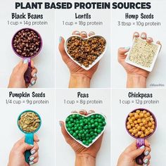 Plant Based Protein Sources, Vegan Protein Sources, Vegan Nutrition, Best Protein, Plant Based Eating, Meat Lovers, Diet Keto, Vegan Protein, Vegan Foods