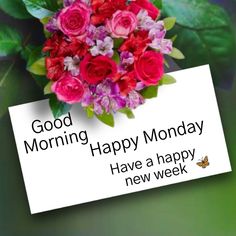 a bouquet of flowers sitting on top of a white sign that says good morning happy monday have a happy new week