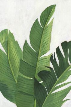 a painting of a green leaf on a white background