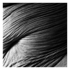 black and white photograph of an animal's fur with the top section showing it's hair