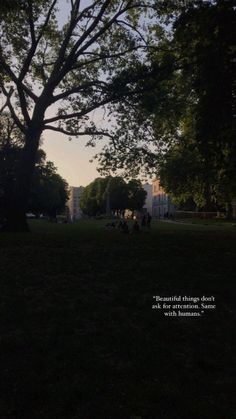 the sun shines through the trees in this park