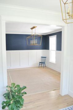 a living room with blue walls and white paneling on the walls, a plant in front of the door