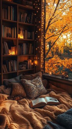 a bedroom with a book shelf filled with books next to a large window covered in lights