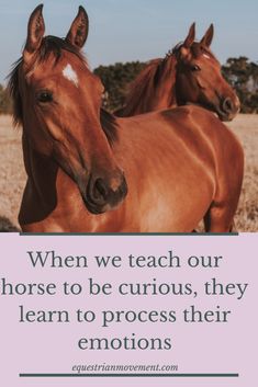 two horses standing next to each other in a field with the words when we teach our horse to be curious, they learn to process their emotions