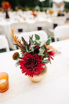 a vase filled with red flowers sitting on top of a table next to a candle