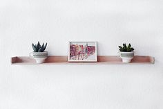 three potted plants are sitting on a shelf above a framed photograph and two small pots