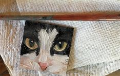 a close up of a cat's face on a piece of cloth