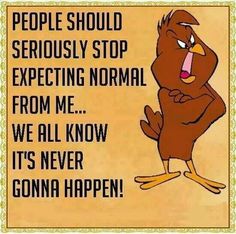 a cartoon bird saying people should seriously stop expecting normal from me we all know it's never going happen