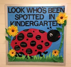 a bulletin board with a ladybug and sunflowers on it that says, look who's been spotted in kindergarten