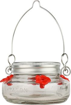 a glass jar with red flowers in it