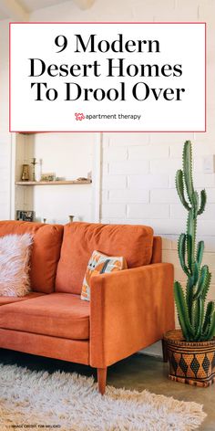 an orange couch sitting on top of a rug next to a potted cactus