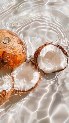 two coconuts are sitting in the water