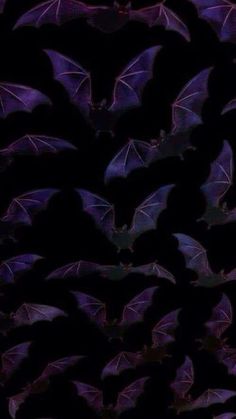 many bats are flying in the night sky