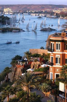 an aerial view of boats sailing in the water and on land with palm trees around them