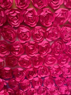 pink paper flowers are arranged in rows on the wall and placed next to each other