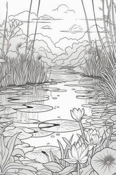 a black and white drawing of water lilies in the pond with reeds on either side