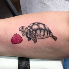 a turtle and raspberry tattoo on the arm