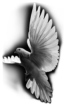 a black and white photo of a bird flying in the air with its wings spread