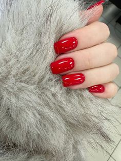 #manicure #manicureideas #batumi 👍 Manicure, 2024 | Tırnak fikirleri, Tırnak, Bohem tırnaklar 💯 Cute Red Nails, Long Red Nails, Bright Red Nails, Red Liquid, Short Gel Nails, Glamour Nails, Shine Nails, Blush Nails, Red Nail