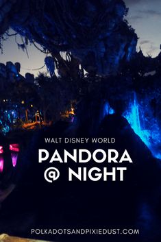 the entrance to pandora and night at walt world