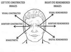 an image of the human head with different parts labeled in it, including eye positions as looking at another person