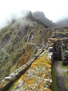 people walking up the side of a mountain on a path with moss growing on it