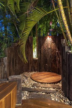 a wooden bench sitting under a palm tree next to a lush green forest at night