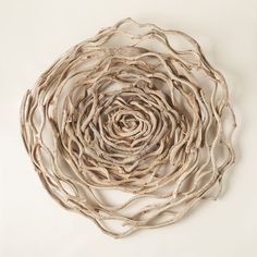 a circular sculpture made out of branches on a white background