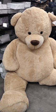 a large teddy bear sitting on the ground