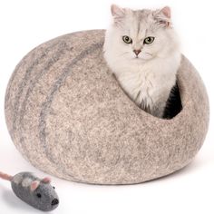 a white cat sitting in a grey felt bed next to a mouse