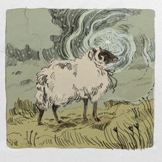 a drawing of a sheep standing in the grass