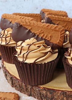 chocolate biscoff cupcakes with peanut butter frosting and chocolate ganache