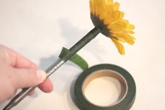 a person is holding a pair of scissors next to a yellow flower