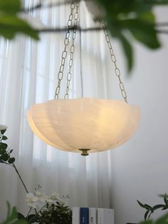 a light fixture hanging from a ceiling in a room with plants and books on the table