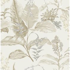 an image of a wallpaper with leaves and flowers in beige tones on a white background