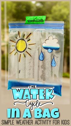 the water cycle in a bag is an easy and fun activity for kids to make