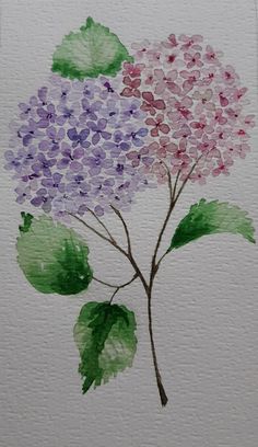 watercolor painting of purple and green hydrangea flowers on white paper with leaves