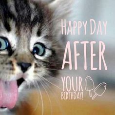 a kitten sticking its tongue out with the caption happy day after your birthday