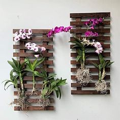 two wooden pallets with plants and roots attached to the wall, one has purple orchids in it